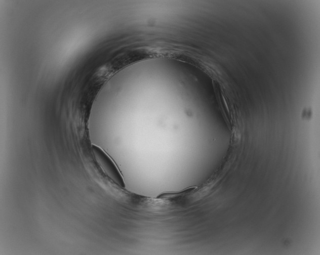 X0000113200429200909241403