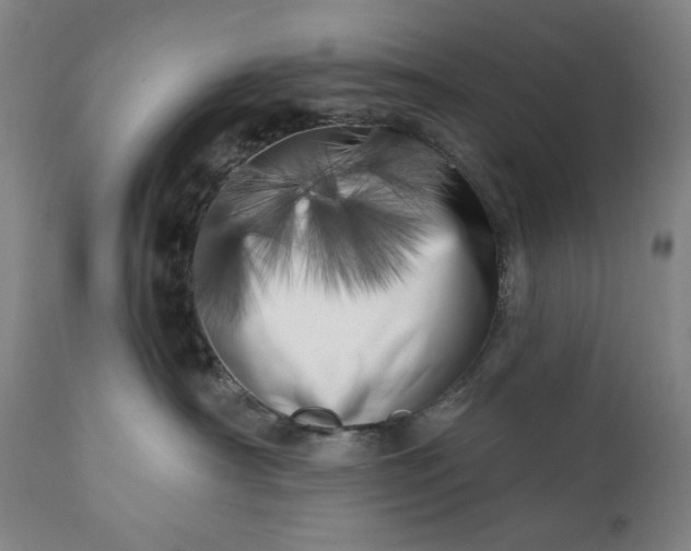 X0000113200430200909241403