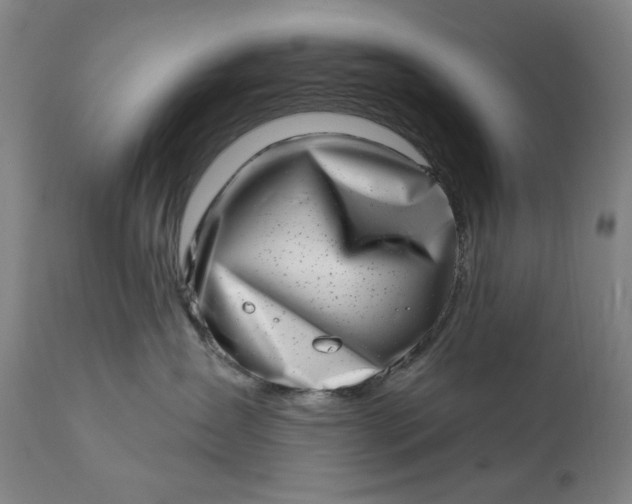 X0000113200431200909241403