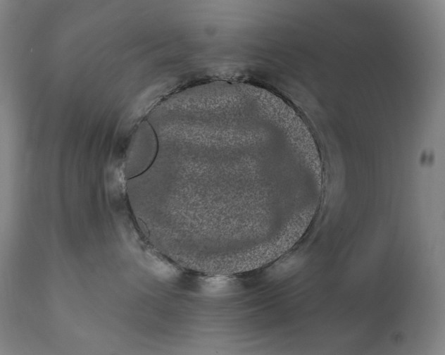 X0000113200432200909241403