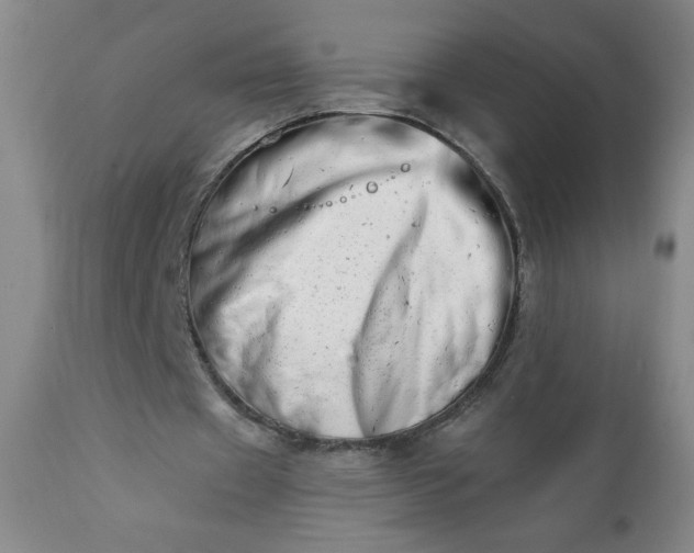 X0000113200433200909241402