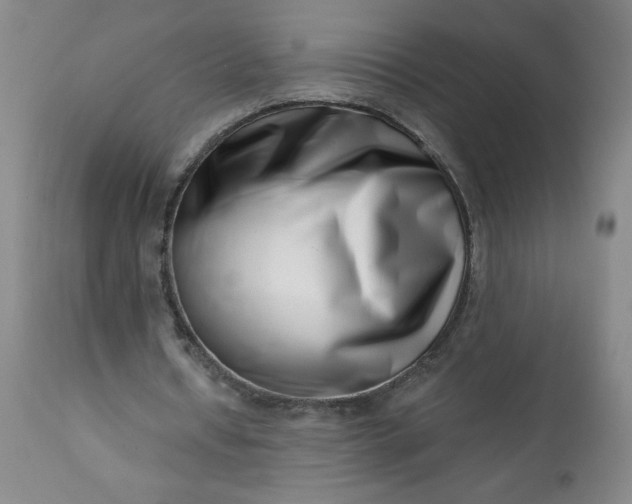 X0000113200434200909241402