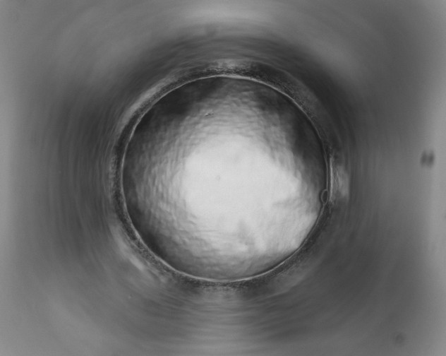 X0000113200435200909241402