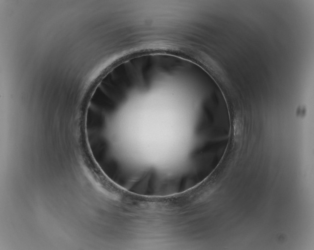 X0000113200436200909241402