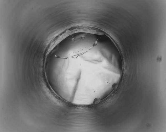 X0000113200437200909241402