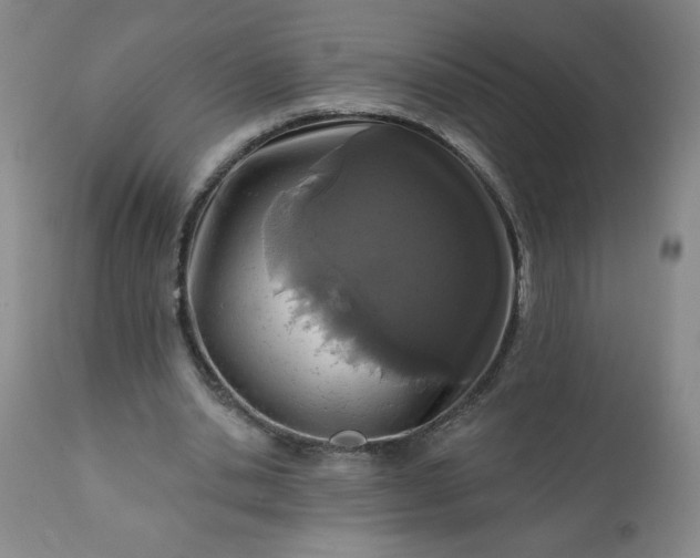 X0000113200438200909241402