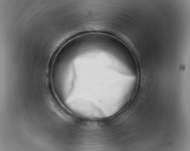 X0000113200439200909241402