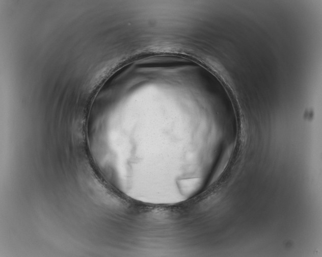 X0000113200441200909241402