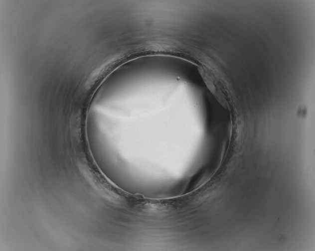 X0000113200442200909241403