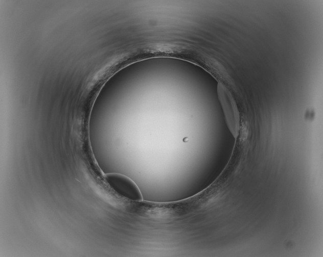 X0000113200444200909241403