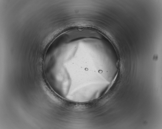 X0000113200445200909241403