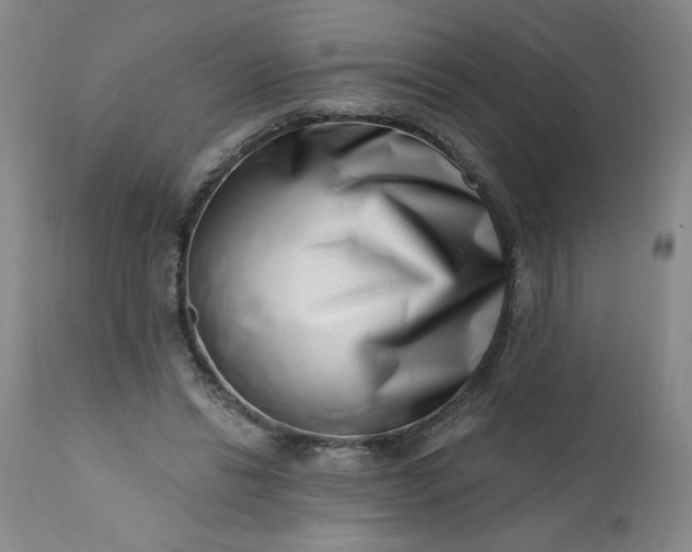 X0000113200446200909241403