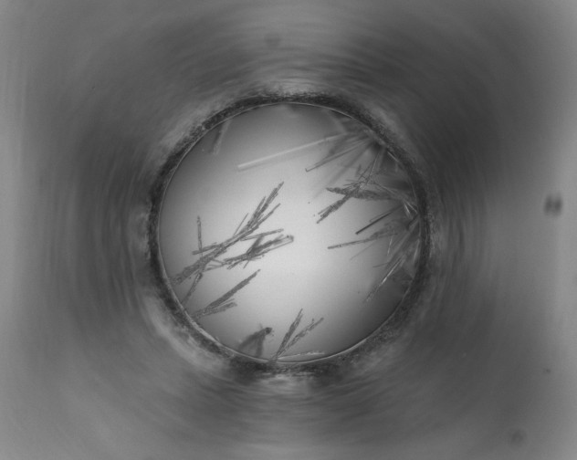 X0000113200447200909241403