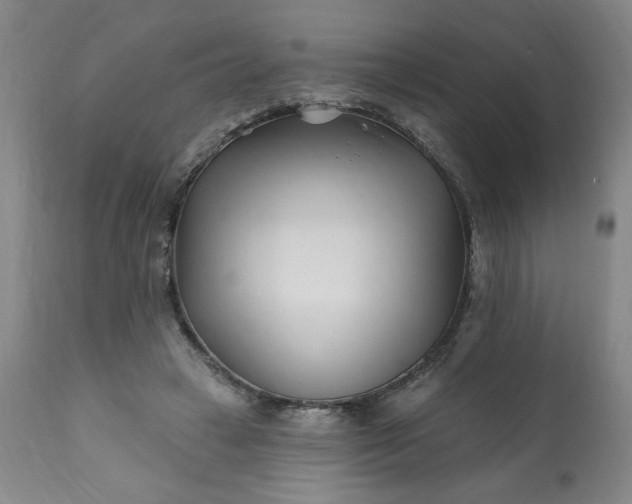 X0000113200449200909241403