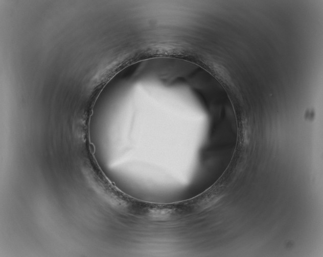 X0000113200450200909241403