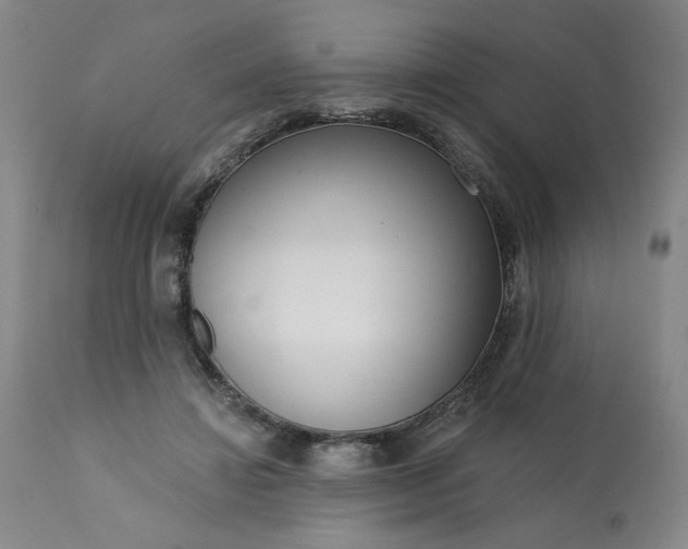 X0000113200452200909241403