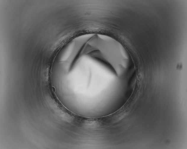 X0000113200454200909241403