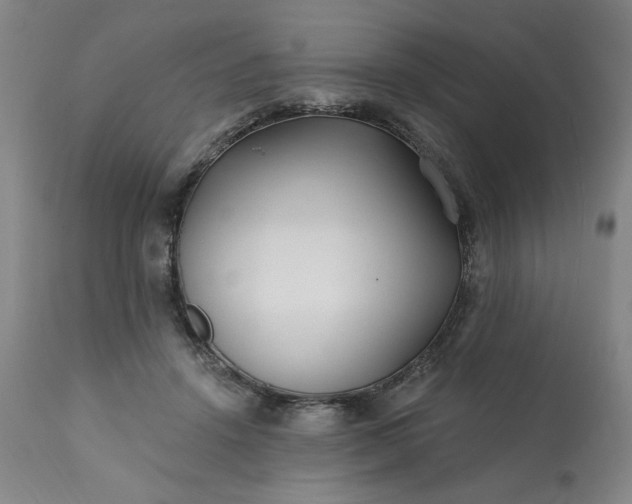 X0000113200456200909241403