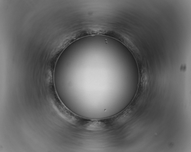 X0000113200459200909241403