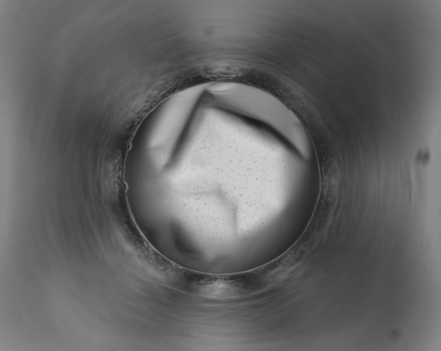 X0000113200460200909241403