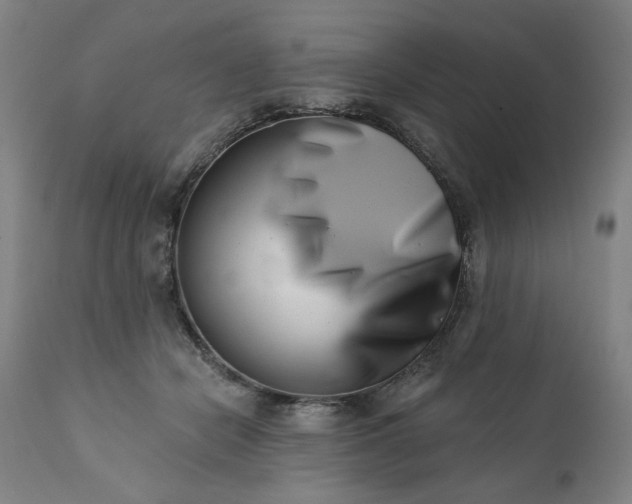 X0000113200462200909241403