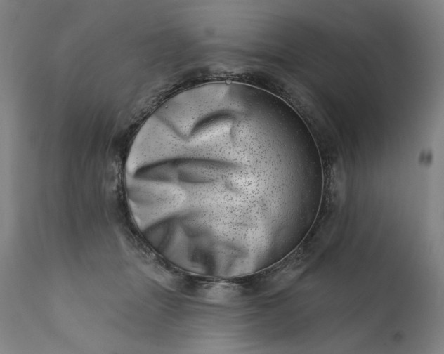 X0000113200463200909241403