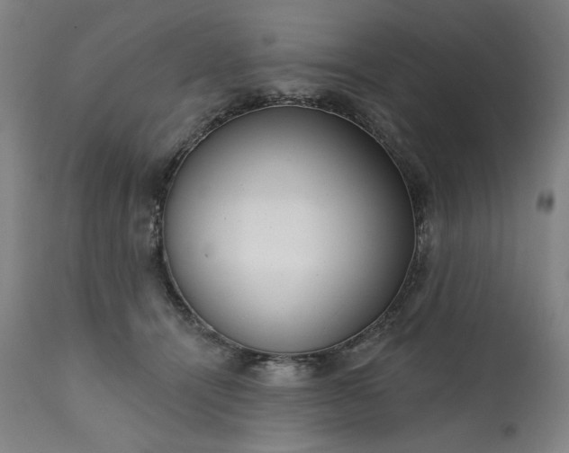 X0000113200464200909241403