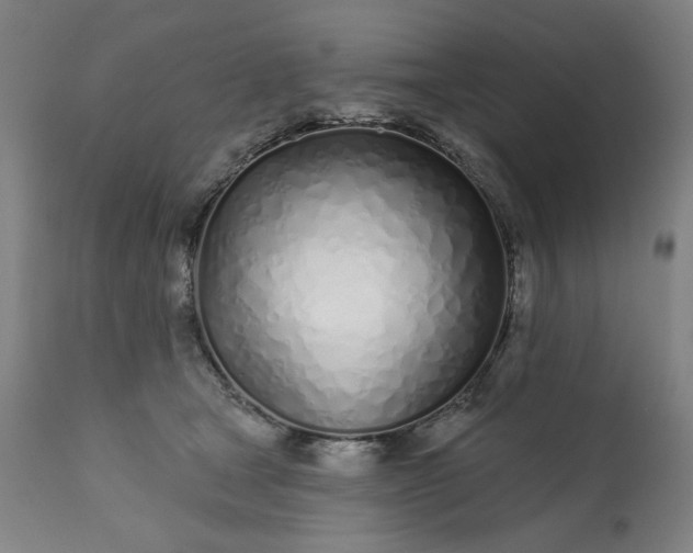 X0000113200465200909241403