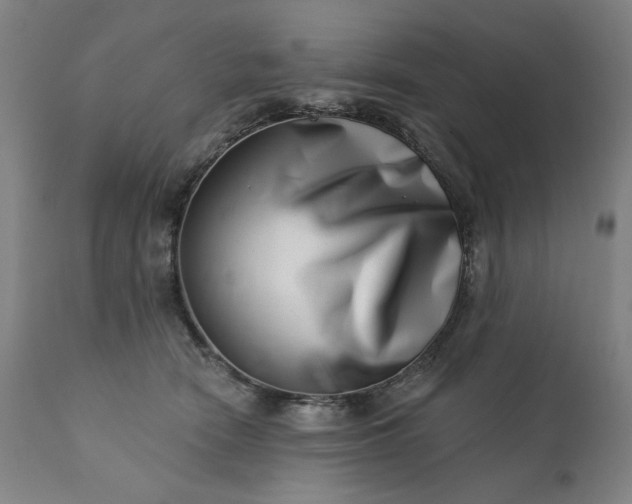 X0000113200466200909241403