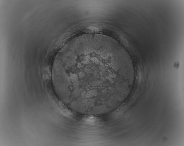 X0000113200467200909241403