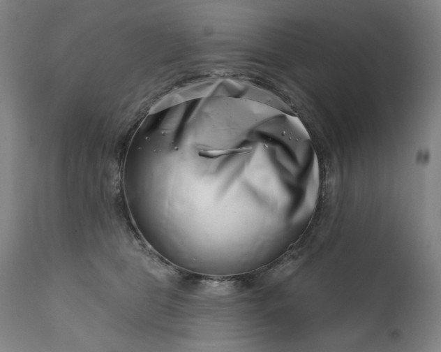 X0000113200469200909241403