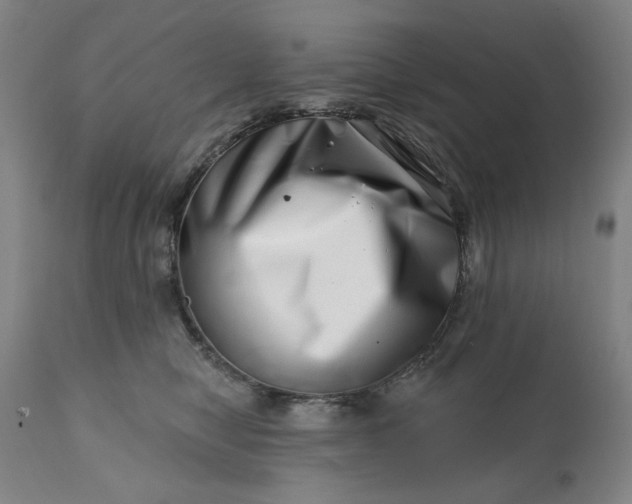 X0000113200470200909241403