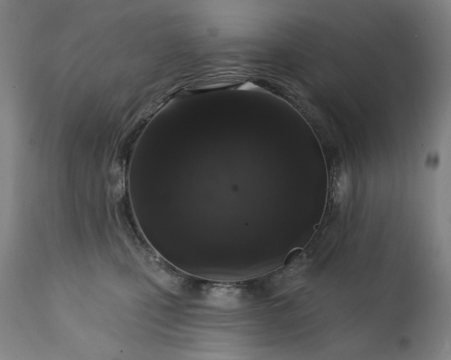 X0000113200471200909241403