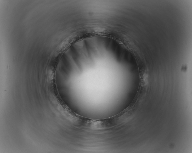 X0000113200472200909241403