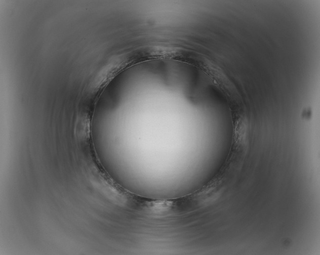 X0000113200474200909241403