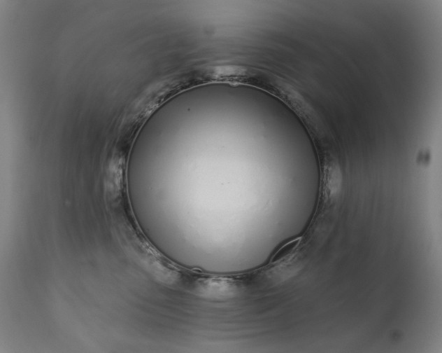 X0000113200475200909241403