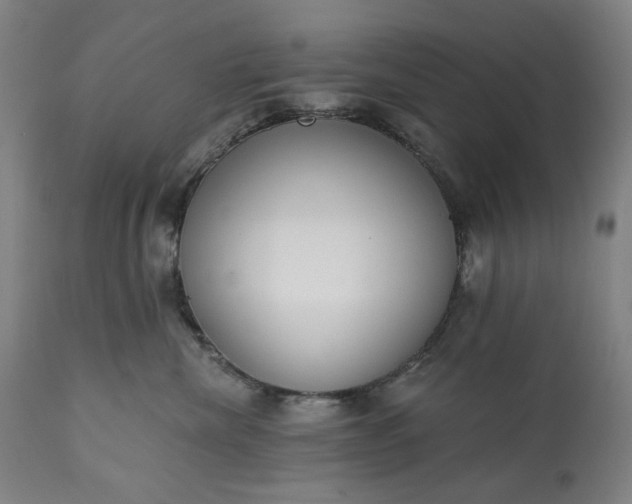 X0000113200476200909241403