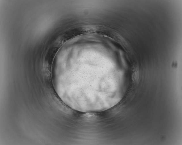 X0000113200477200909241403