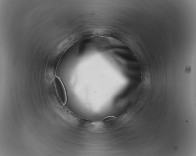 X0000113200478200909241403