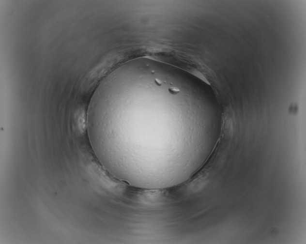 X0000113200479200909241403