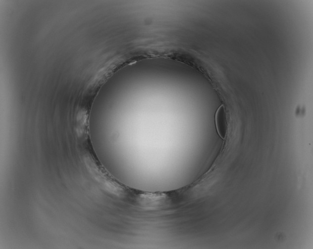 X0000113200480200909241403