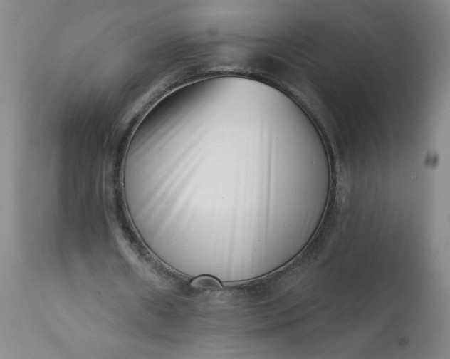 X0000113200482200909241402