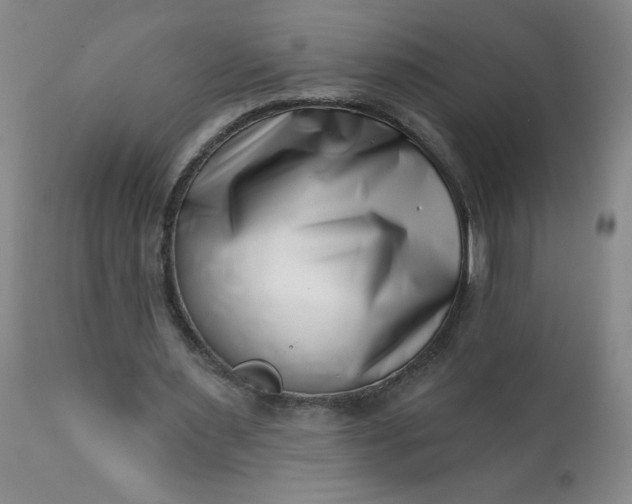 X0000113200483200909241402