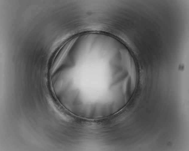 X0000113200486200909241402