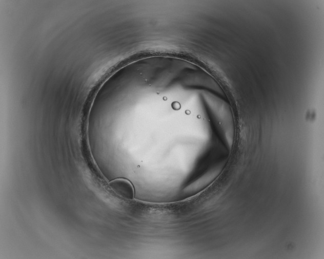 X0000113200487200909241402