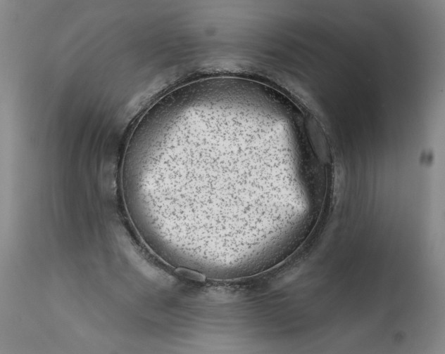 X0000113200489200909241402