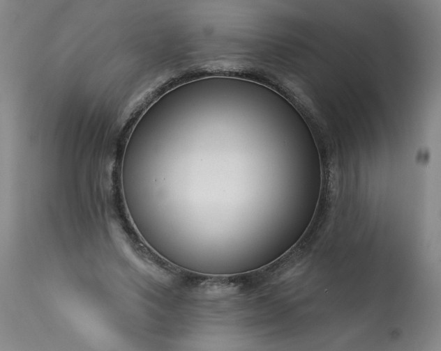 X0000113200491200909241402