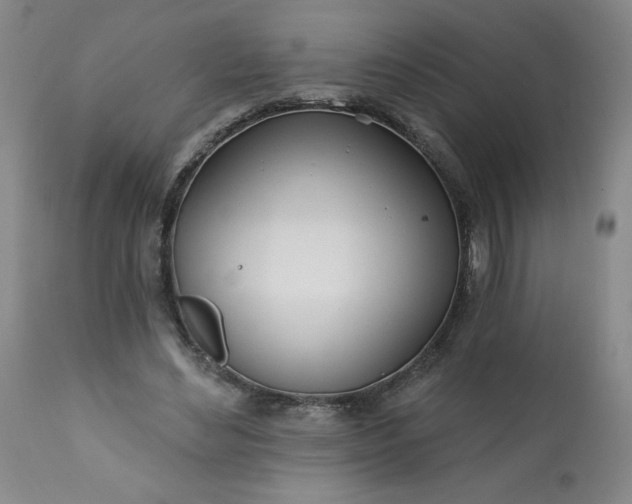 X0000113200492200909241402