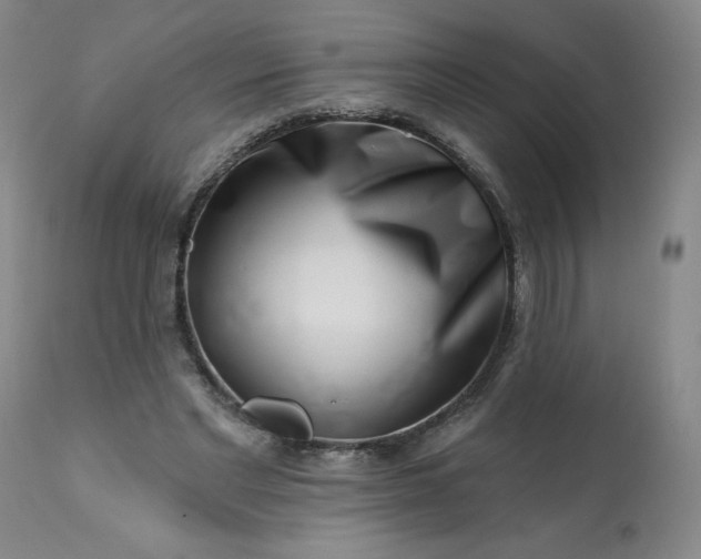 X0000113200493200909241402