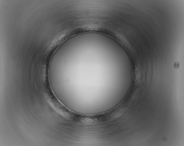 X0000113200494200909241402